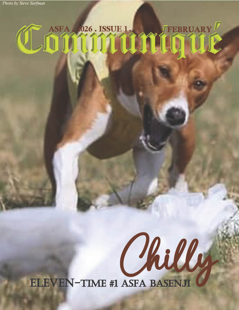 ASFA Communique 2026 Issue 1 Cover - Basenji Chilly